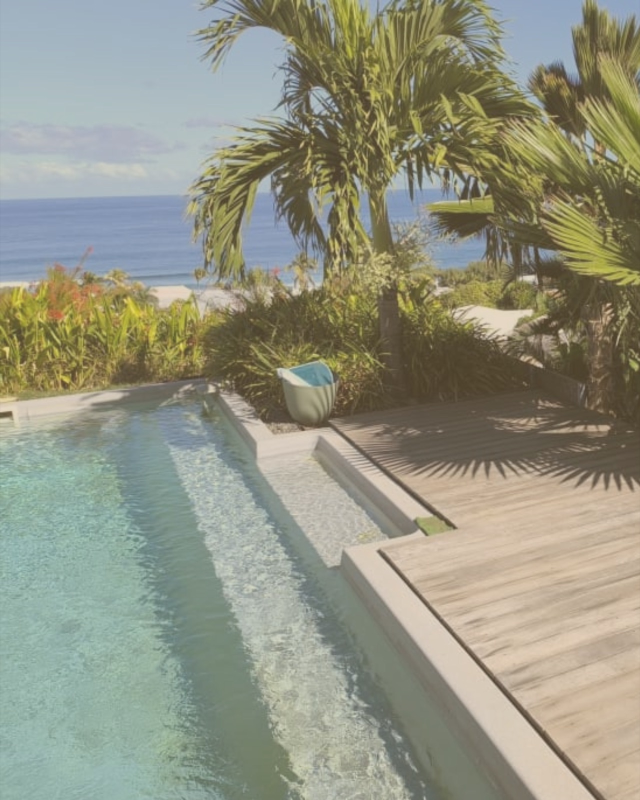 Bassin & jardin tropical